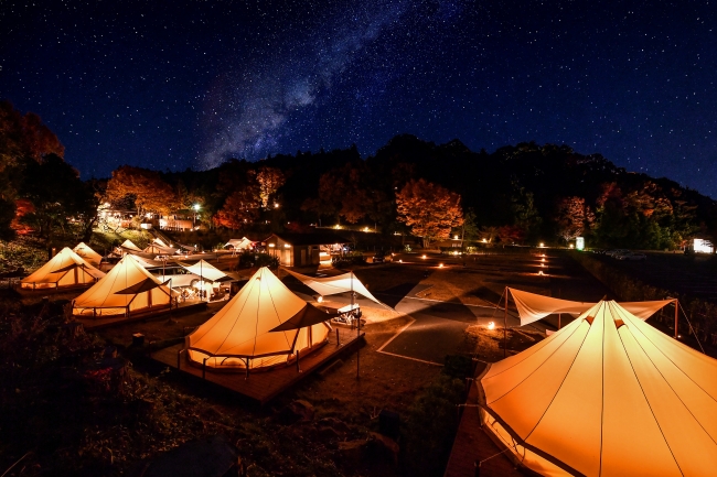 夜空と交差する森の映画祭