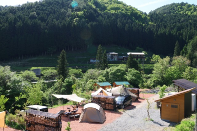 アクティビティ