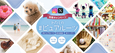 ビューティ