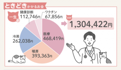 ウーマンNS