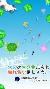 水棲小魚
