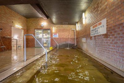 アクティビティ