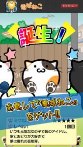 電球ねこ