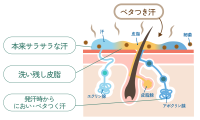 ビューティ