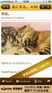 カワイイ!おいしい!キレイ!女子の好きな写真やニュースが大集合!