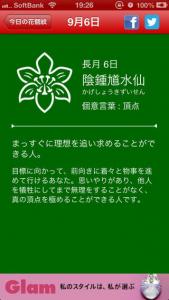 花個紋