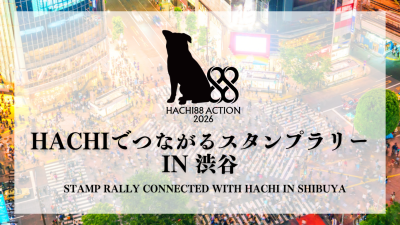 アクティビティ