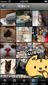 ねこログ