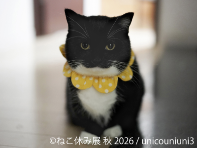 トピック