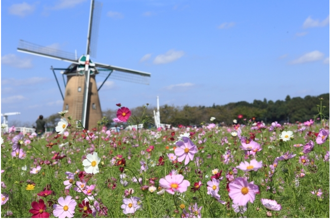 満開の花と過ごすフォトジェニックな1日