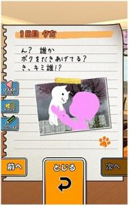 ミオの家のにゃんこ