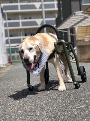 トピック