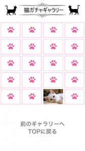 猫天気〜天気予報&可愛い猫写真〜