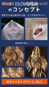 エイのひものつくり