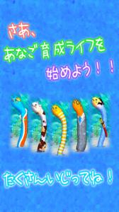いじって!ちんあなご