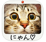 ねこまみれ