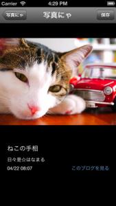 ねこログ