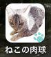ネコ