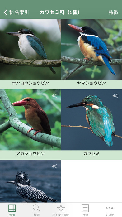 日本の野鳥