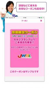 女子プロ野球