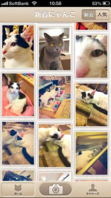 にゃるぽ
