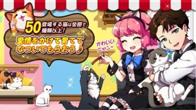 マイにゃんカフェ