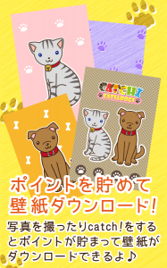 Catch!CATS&DOGS