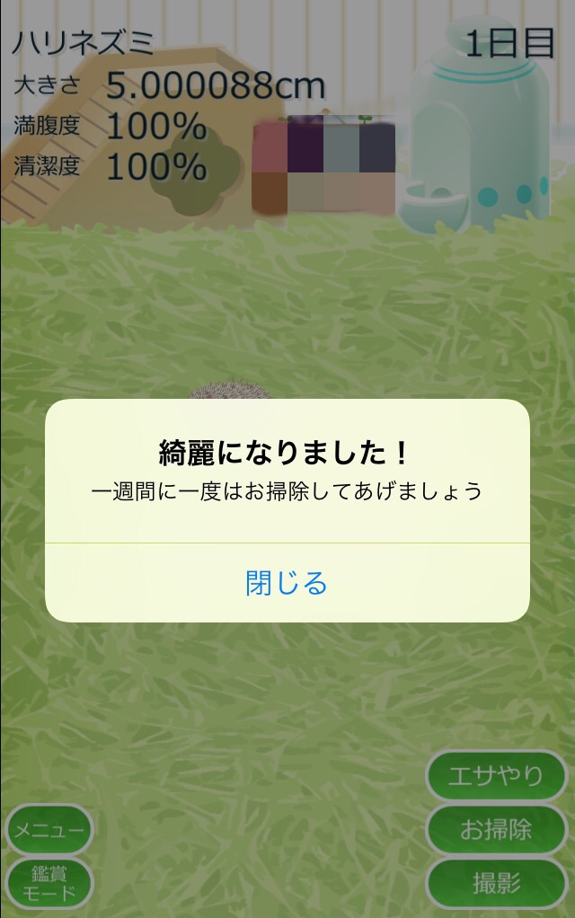 癒しのハリネズミ育成ゲーム