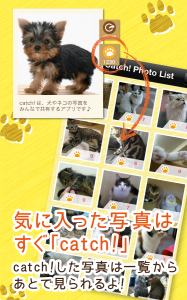 Catch!CATS&DOGS