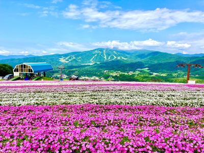 トラベル