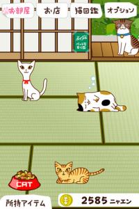 猫の大家さん