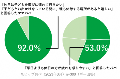 ピップエレキバン