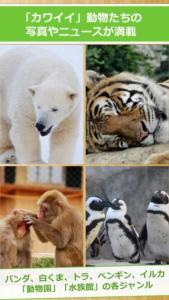 動物だより