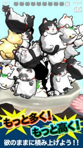 にゃんこ盛り