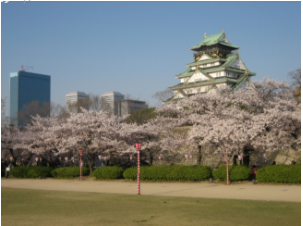 桜の名所・大阪城公園で女性限定「花見ヨガ」を開催