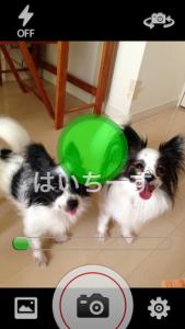声シャッター