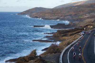 アクティビティ