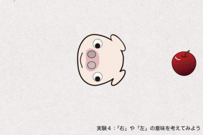 つられ度測定