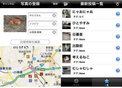 ノラ猫
