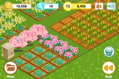 Farm