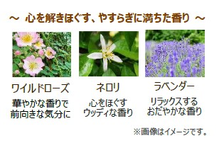 ビューティ
