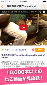 日刊ねこ動画