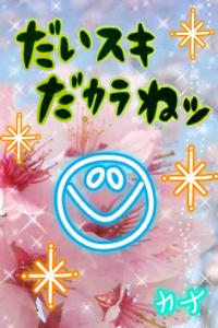 ポエム画嬢