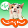 じゃらん