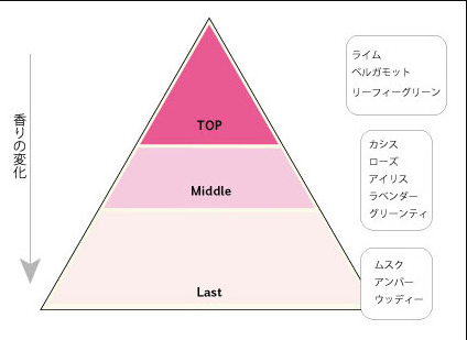 スカルプケア