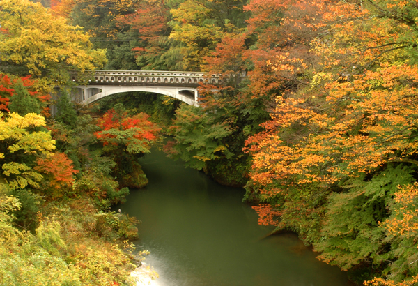 かがり吉祥亭