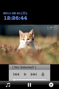 岩合光昭のねこのとけい