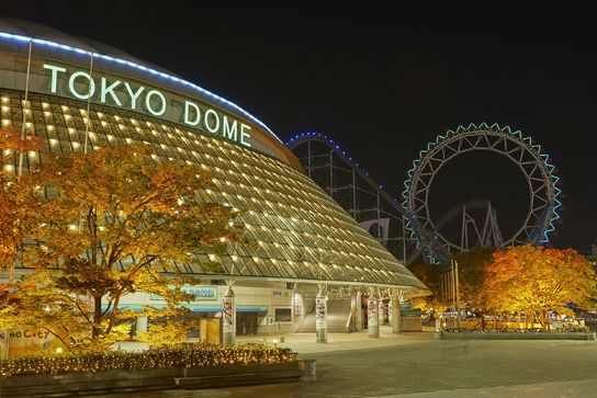 YOGA in 東京ドーム