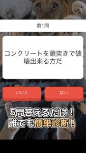 カオスどうぶつ診断