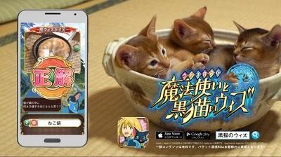 魔法使いと黒猫のウィズ